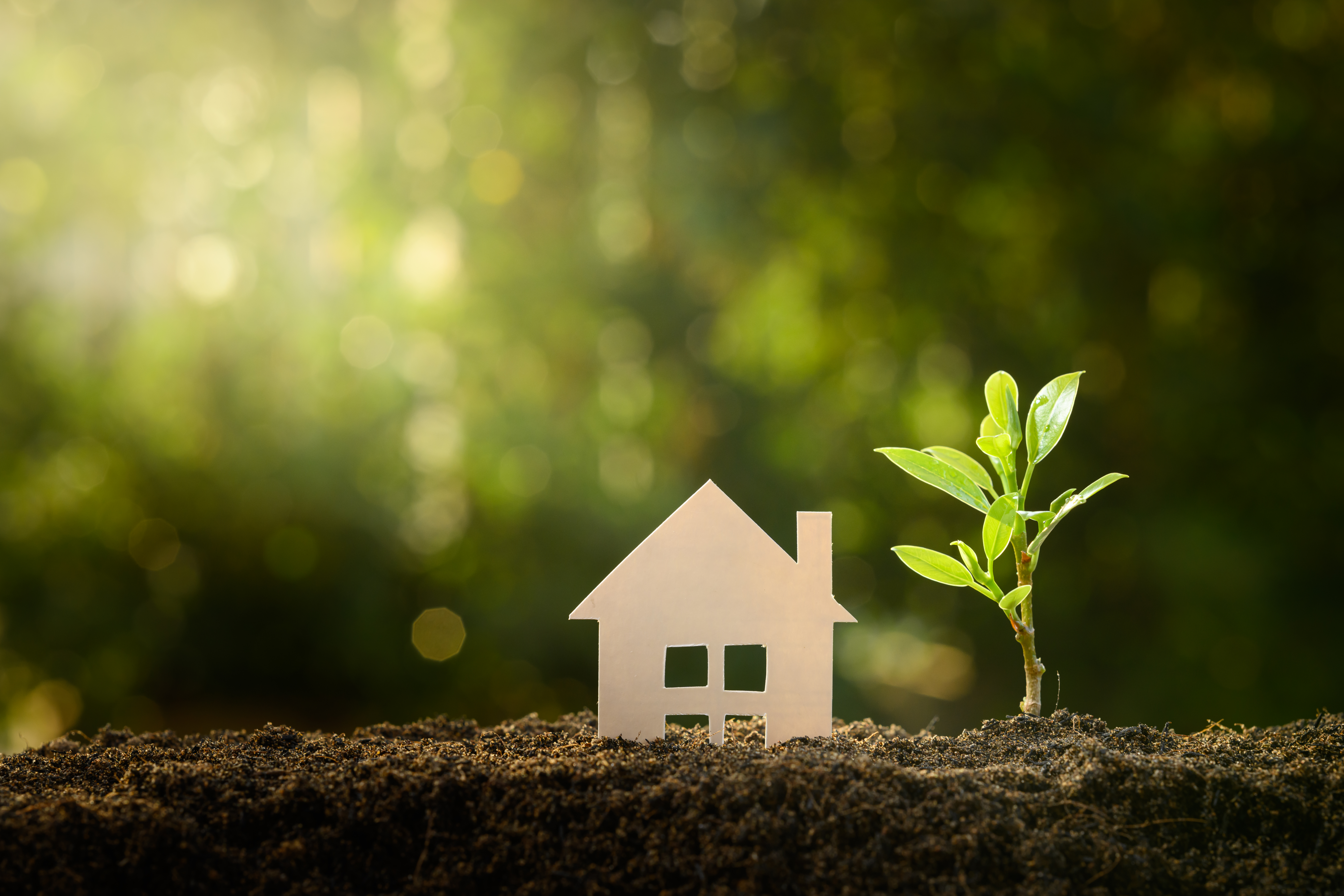 home and life concept. Small model home and green tree with sunlight background.